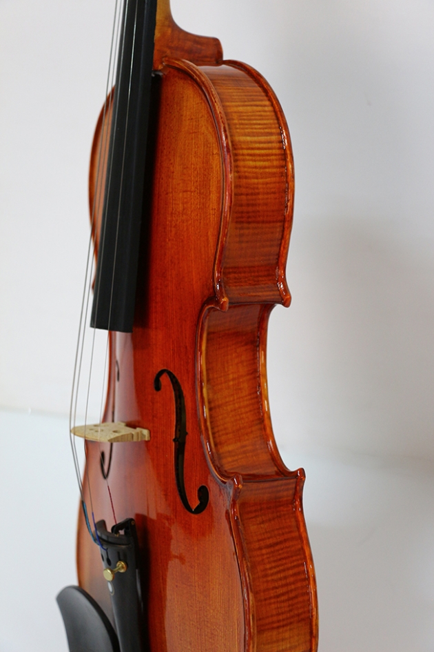 H1A 小提琴Venus虎背紋(高級) 3