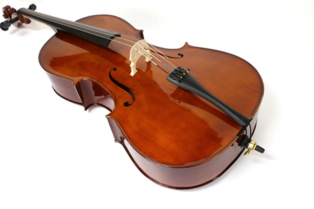 H25B 大提琴附袋(素面) 3