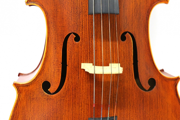 H25C 大提琴附袋(虎背紋) 2